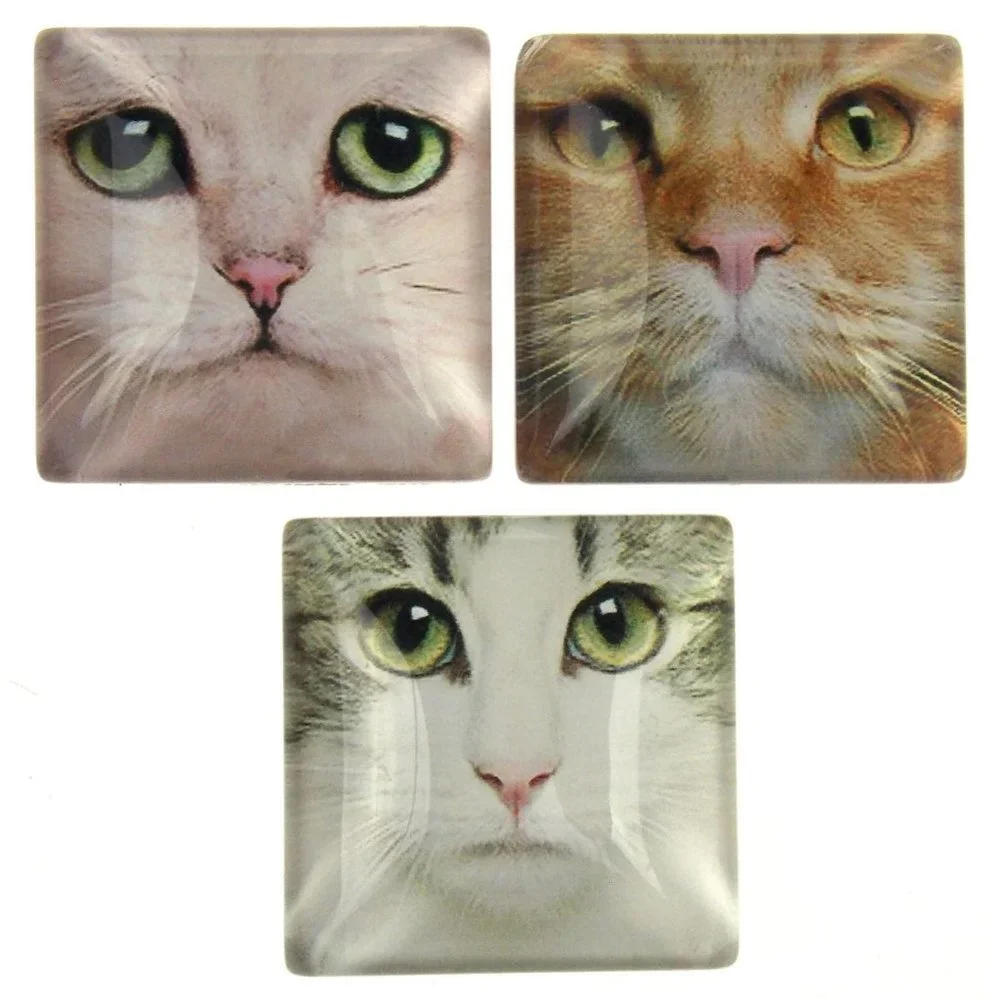 Calm Kitty Cat Massage Kit Fridge Magnets Mitten Comb Massage Roller Spray Gift